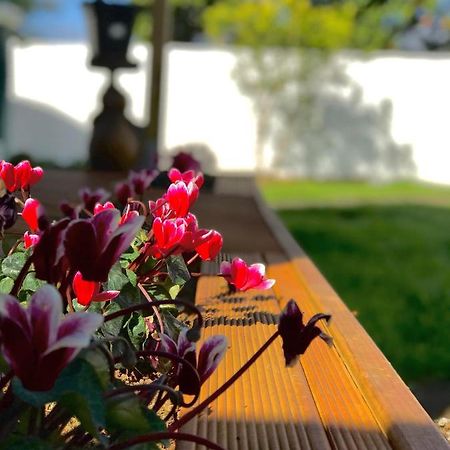 Onehunga Garden Tinyhouse With Parking Auckland Exterior foto