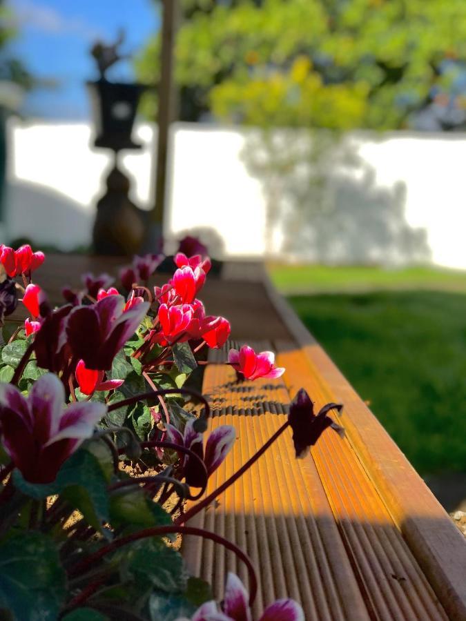 Onehunga Garden Tinyhouse With Parking Auckland Exterior foto